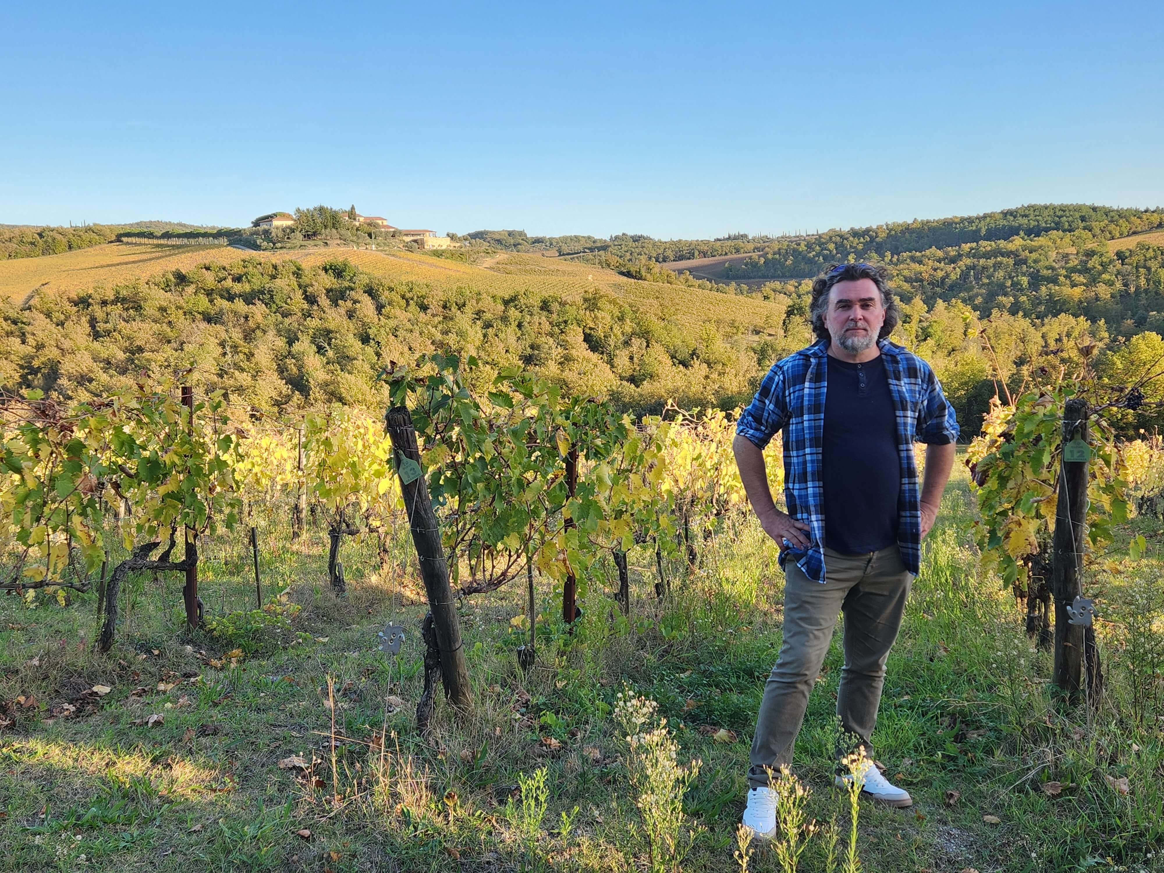 Toscane, vignes du Chianti au coucher du soleil