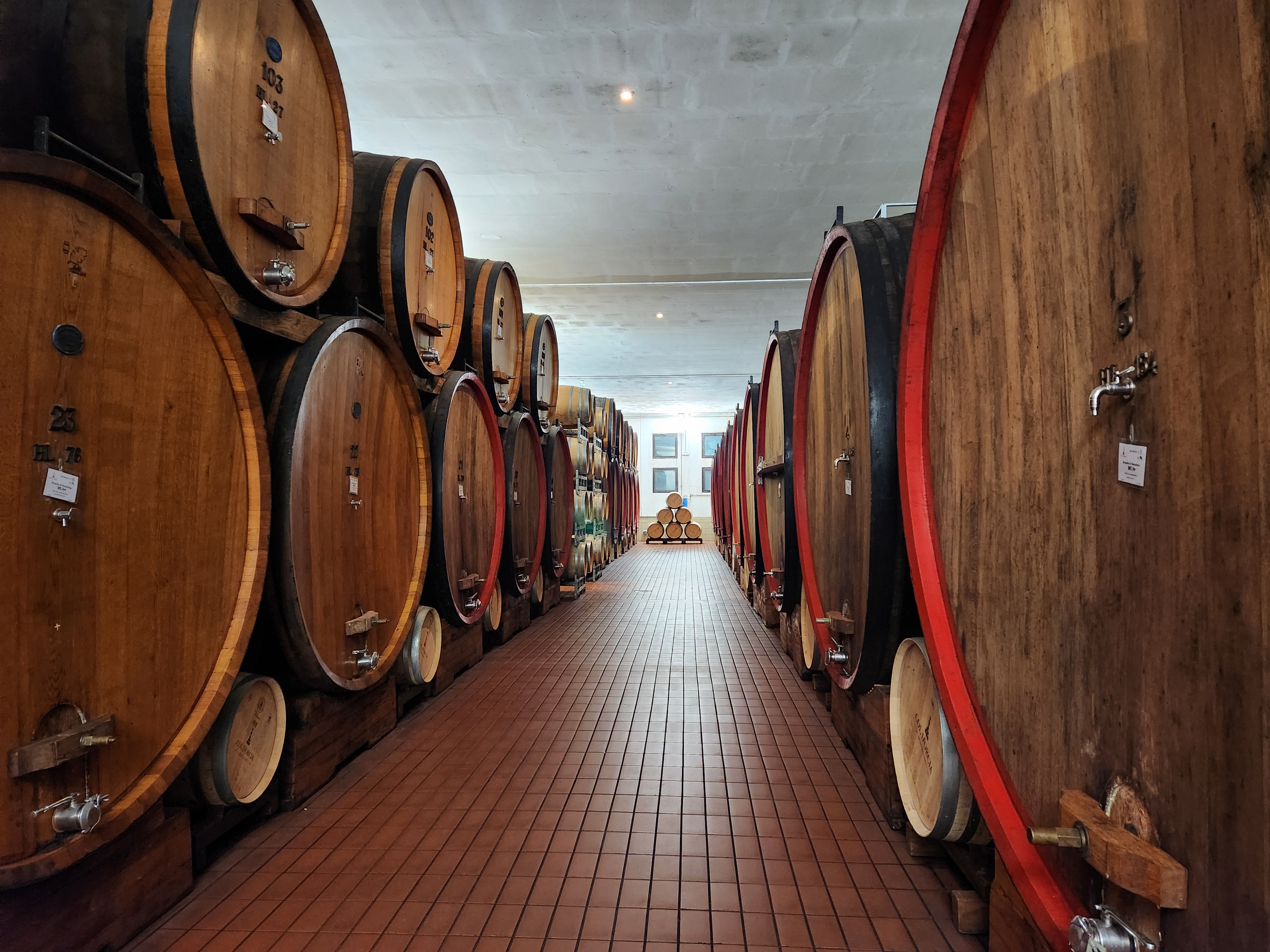Cave aux grands fûts de chêne du domaine de Brunello di Montalcino
